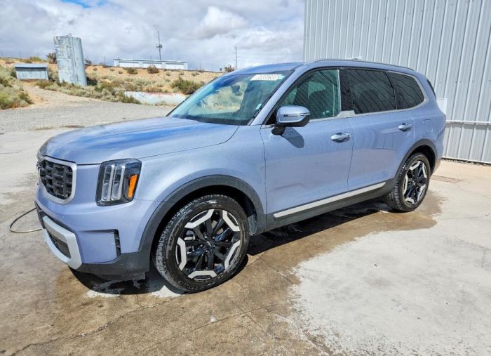 2025 KIA TELLURIDE S